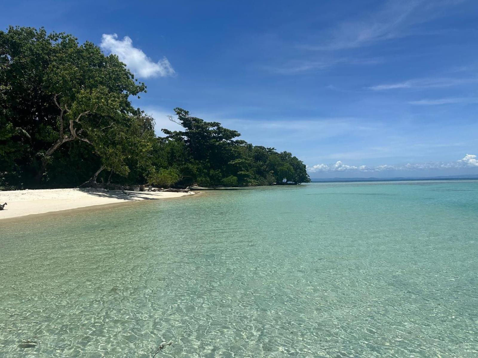 La Buvette Hotel Ile aux Nattes Eksteriør billede