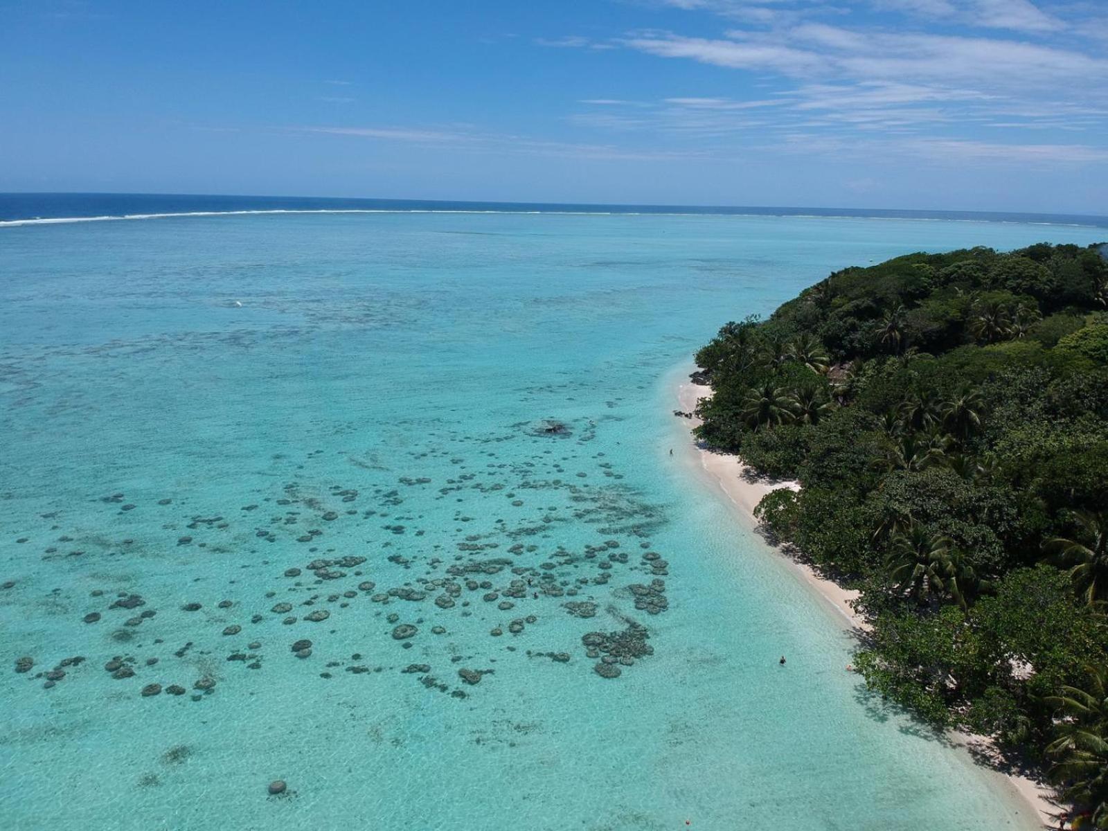 La Buvette Hotel Ile aux Nattes Eksteriør billede