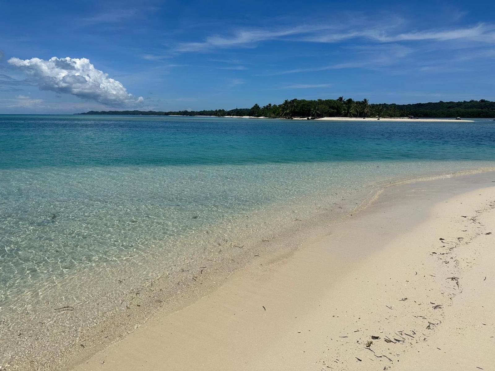 La Buvette Hotel Ile aux Nattes Eksteriør billede