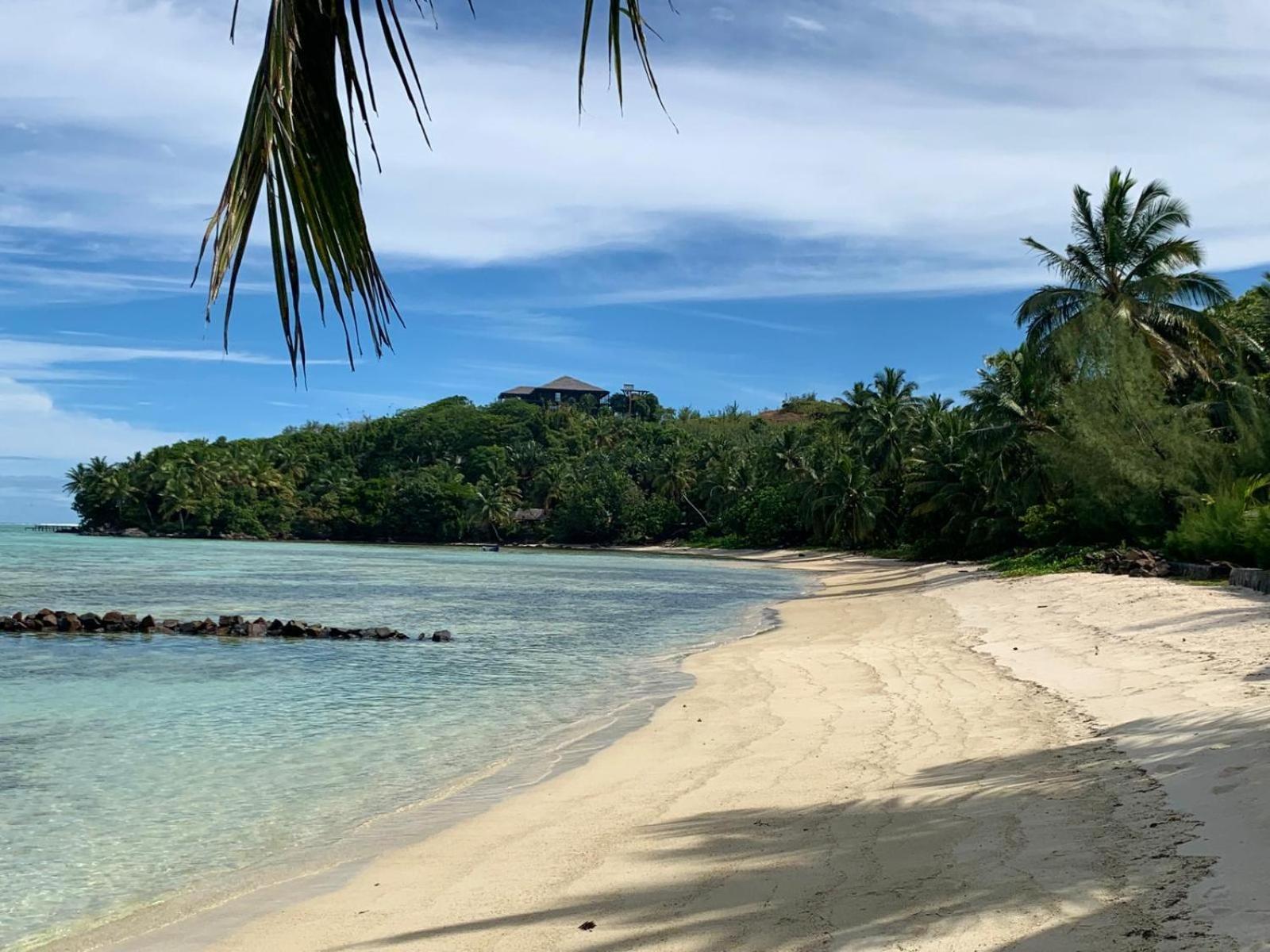 La Buvette Hotel Ile aux Nattes Eksteriør billede